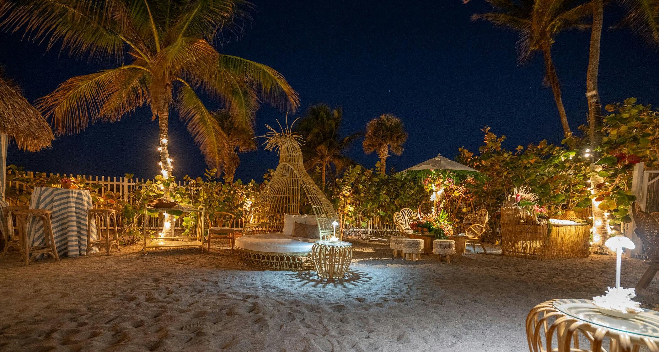 Featured photo from Palm House