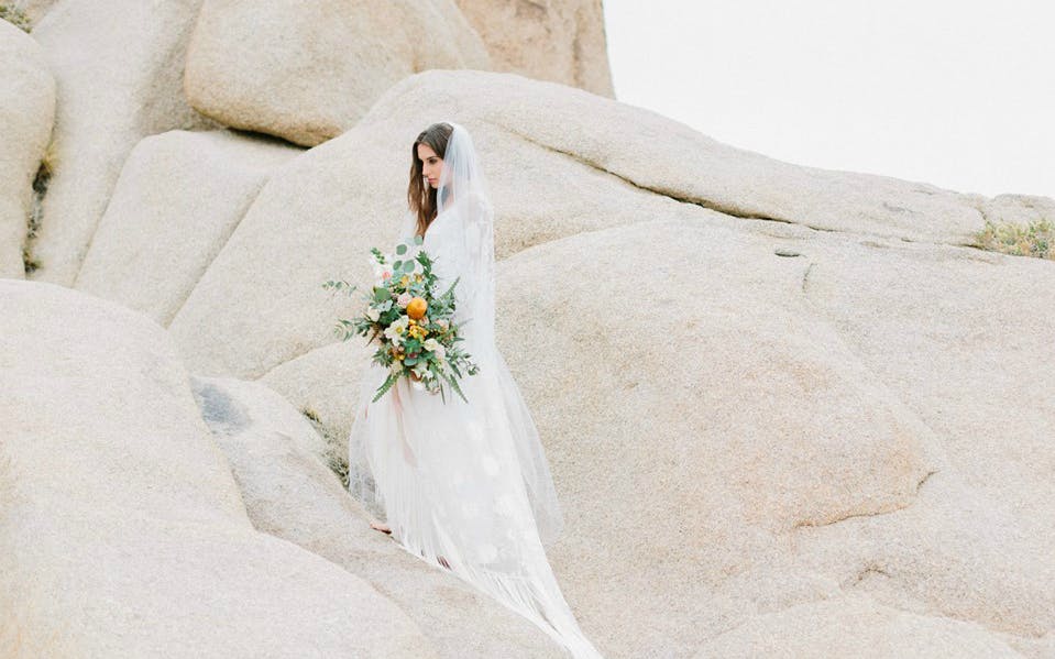 Featured photo from Plenty of Petals