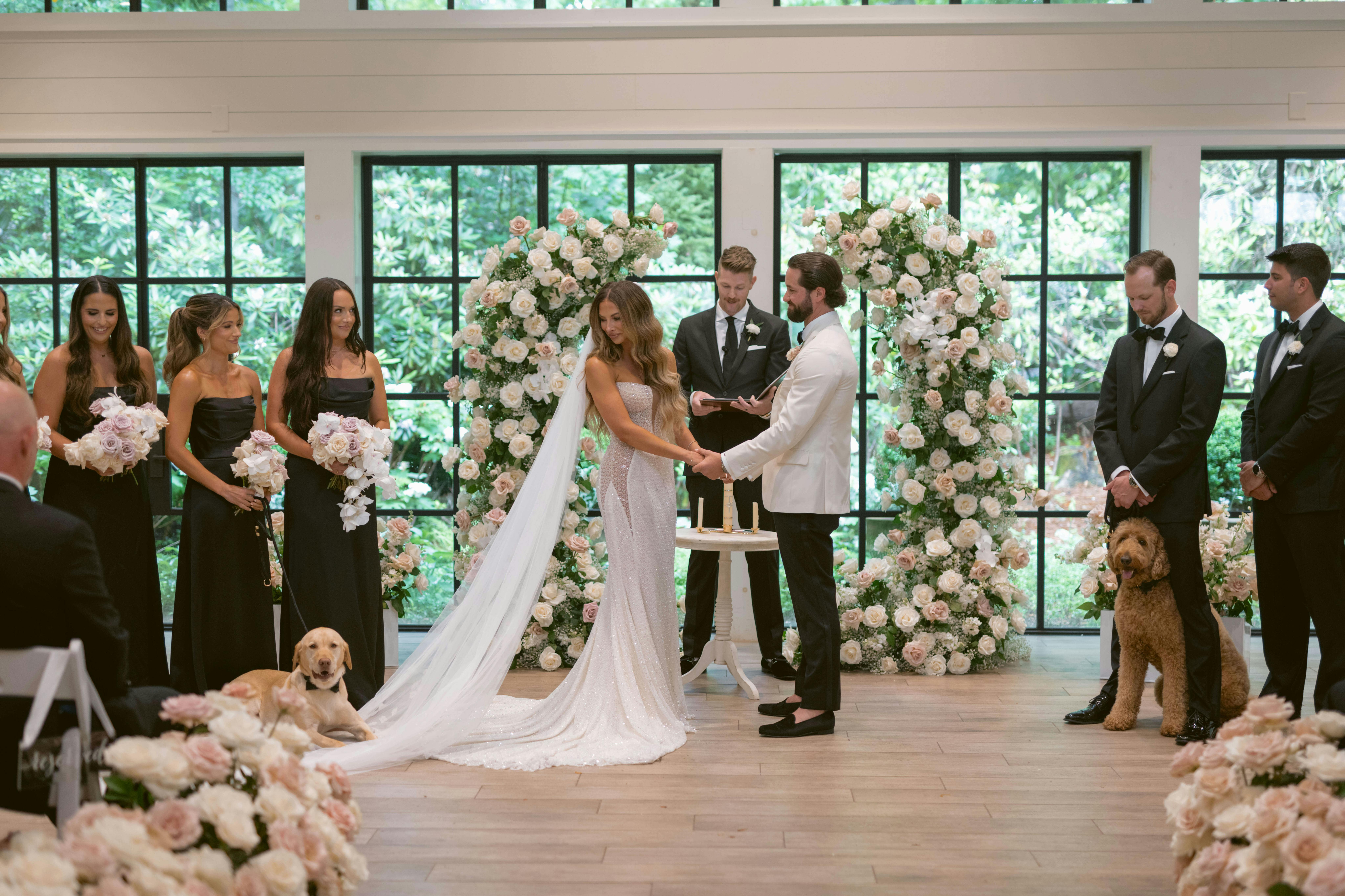 Featured photo from Plus the Pups