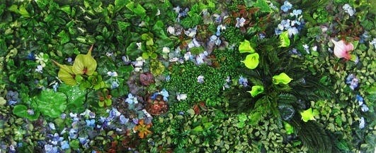 Featured photo from Flora Grand