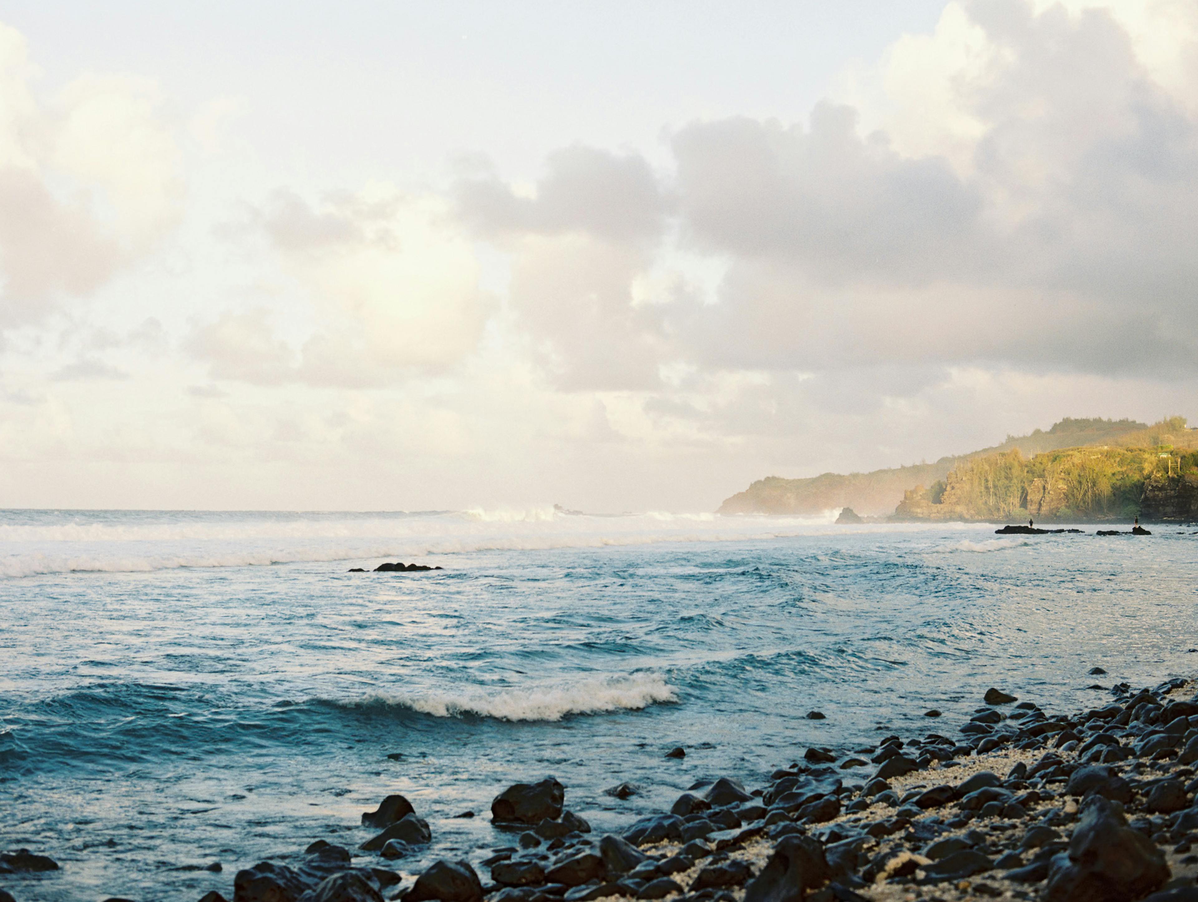 Cover photo of Bre Jane Photography