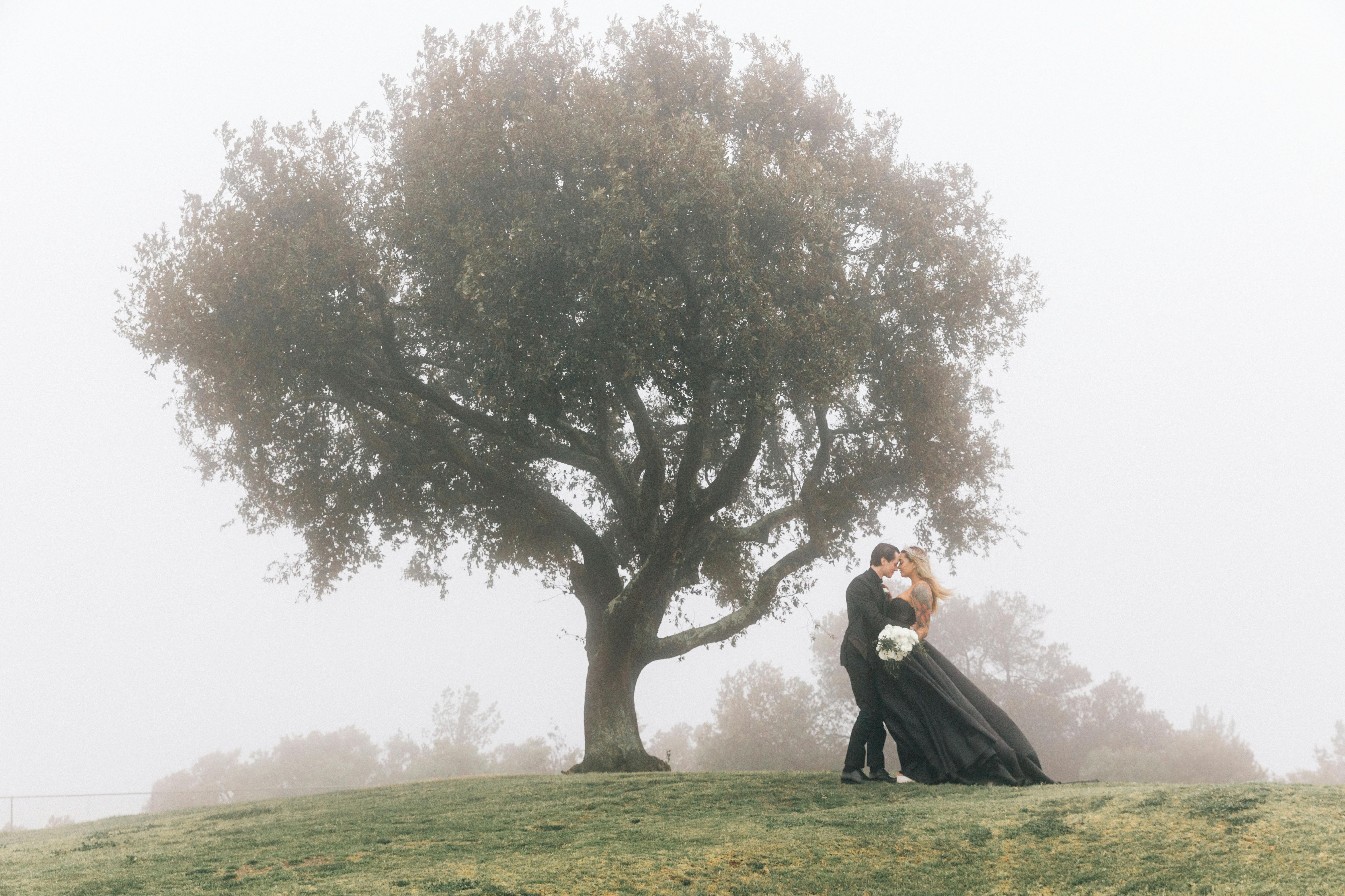 Featured photo from Frances Iacuzzi Photography
