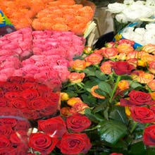 Featured photo from Callas Florist & Events