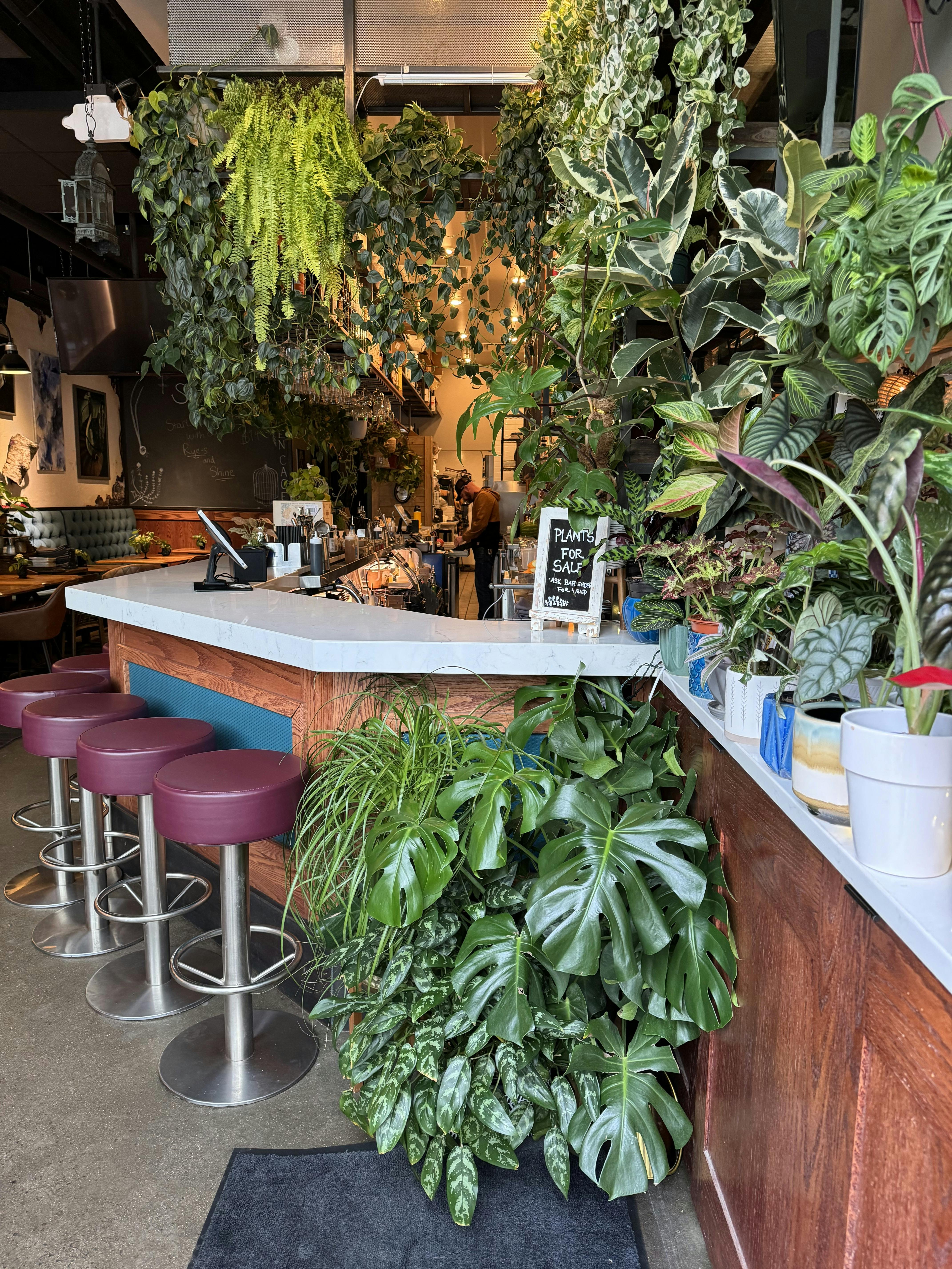 Featured photo from The Broken Cage