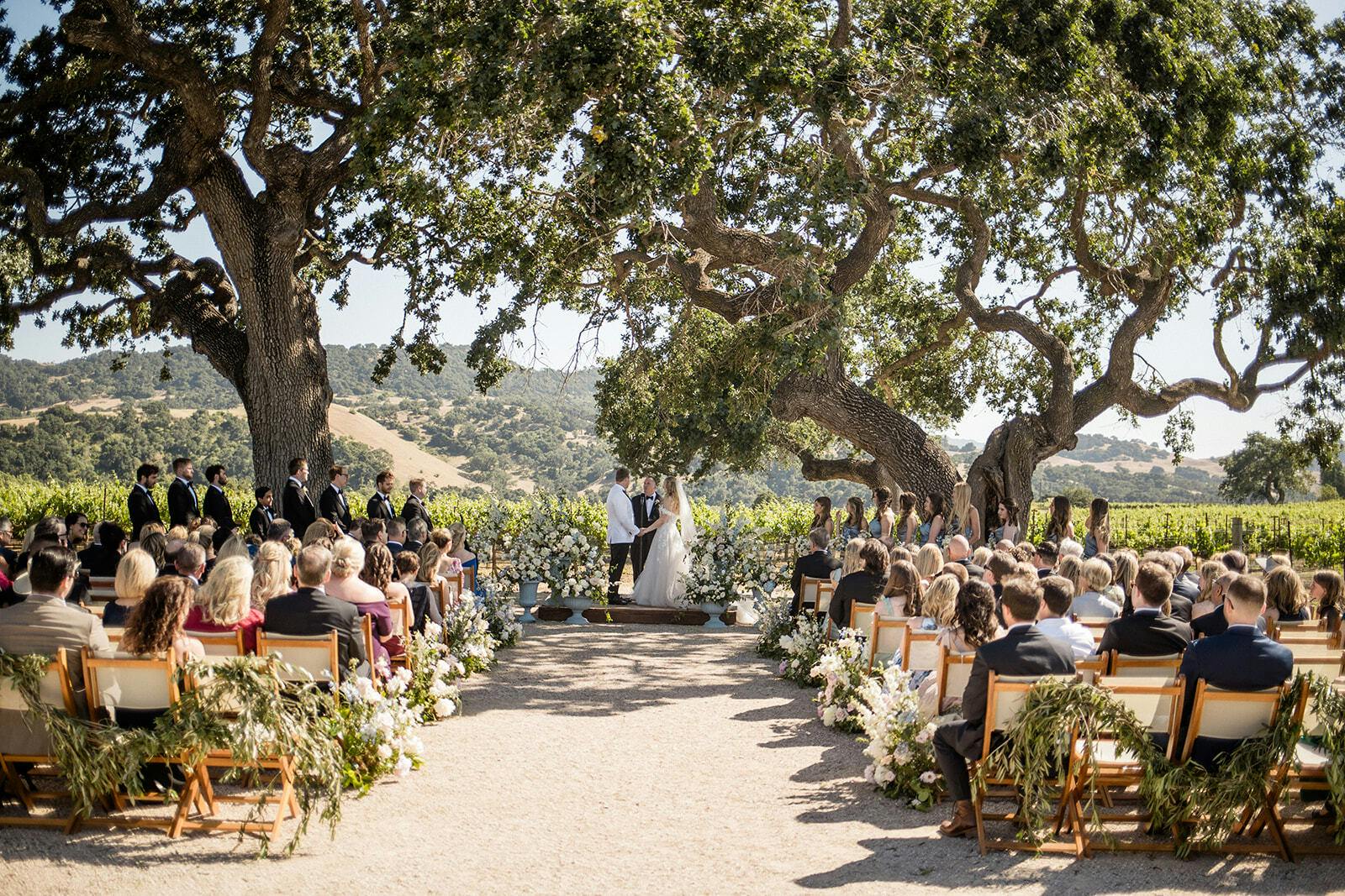 Cover photo of Drake Social