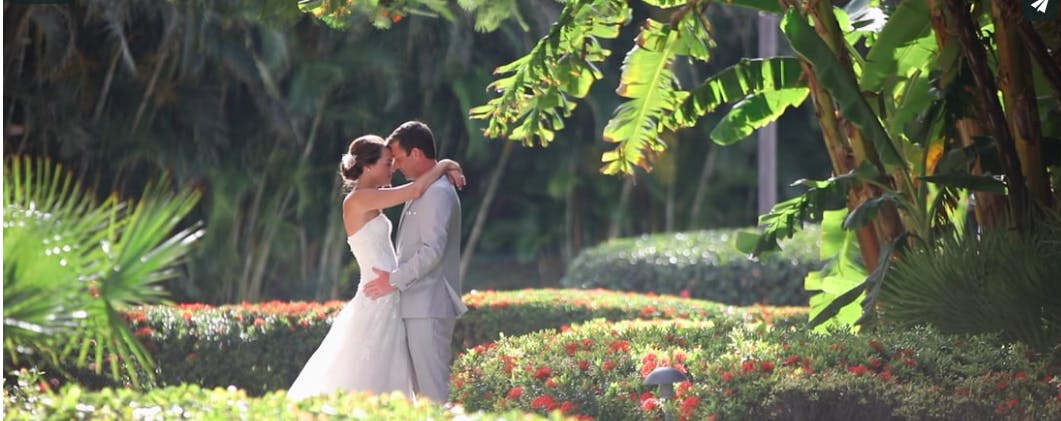 Featured photo from Palm Wedding Films