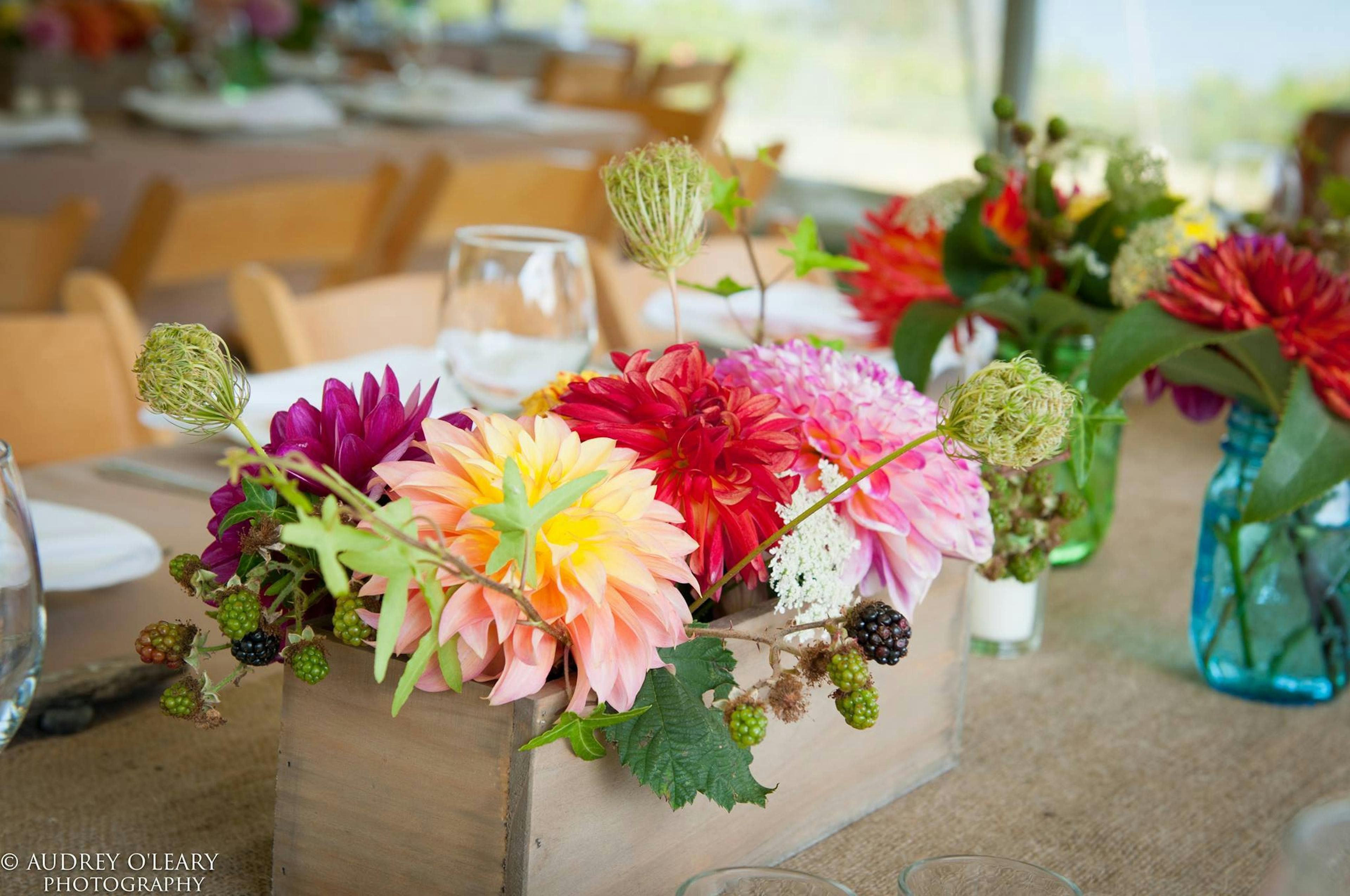 Cover photo of Fena Flowers