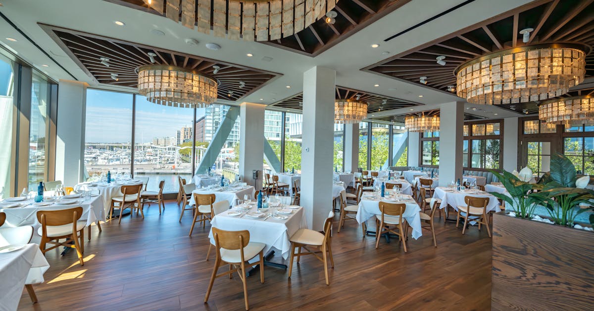 image-6d09c1b7-3ca9-4ada-a5f5-be7cd221dbb1.jpg?ixlib=rails-2.1.4&w=1200 ...