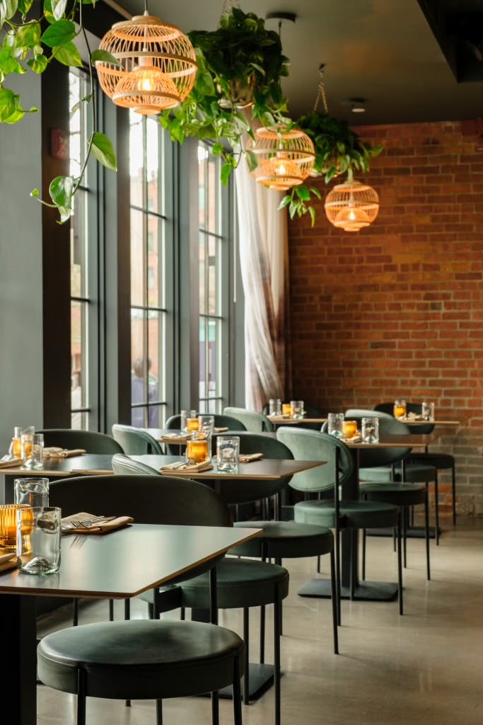 Featured photo from Althea