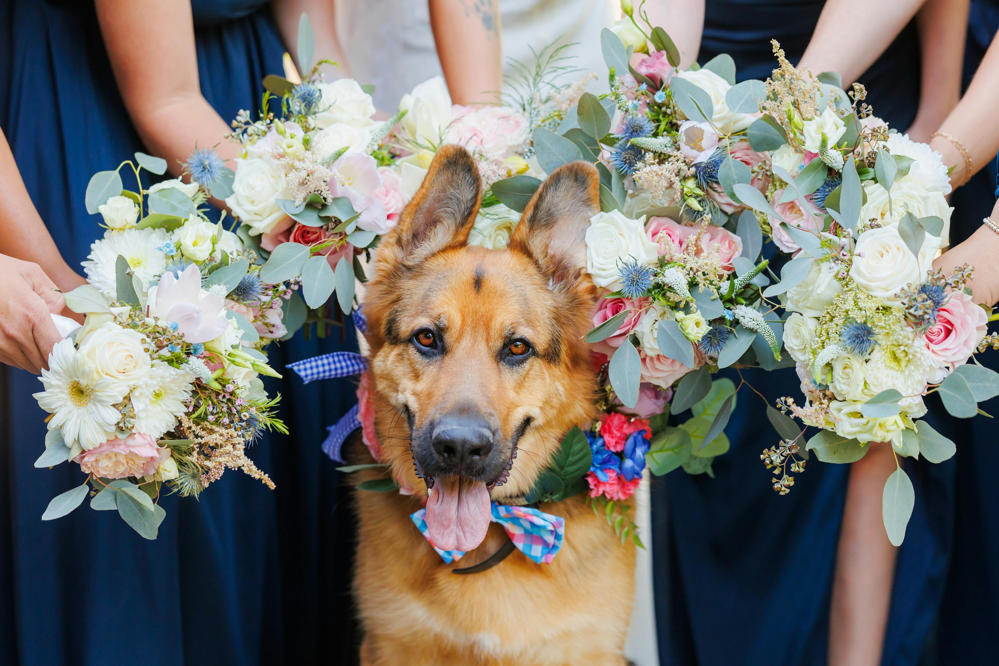 Cover photo of Daphne and Iris Florals