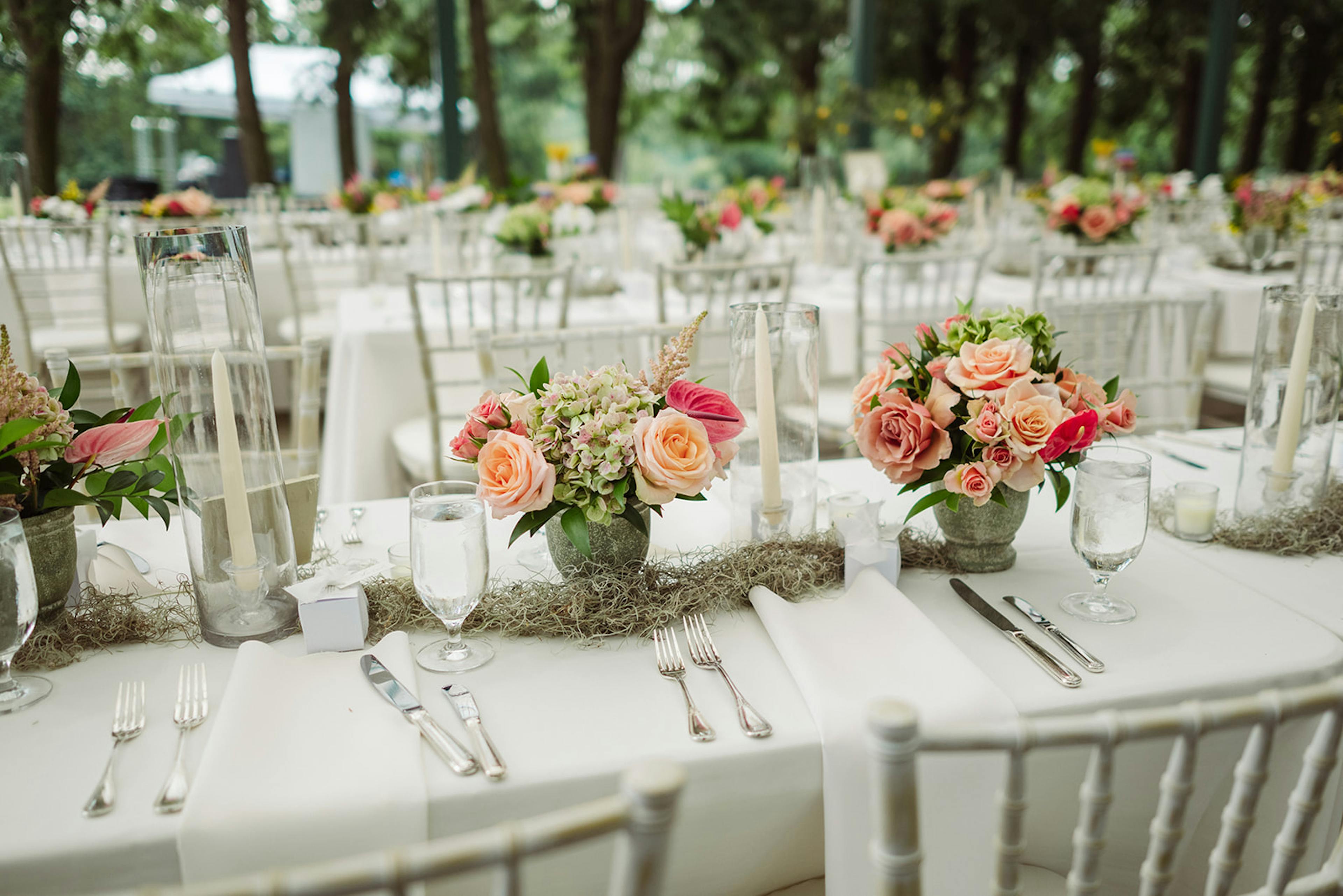 Cover photo of Hello Productions