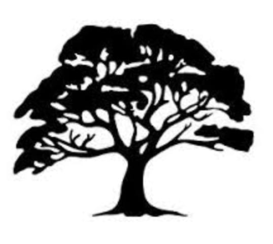 Featured photo from The Ironwood Sports SIM + Bar