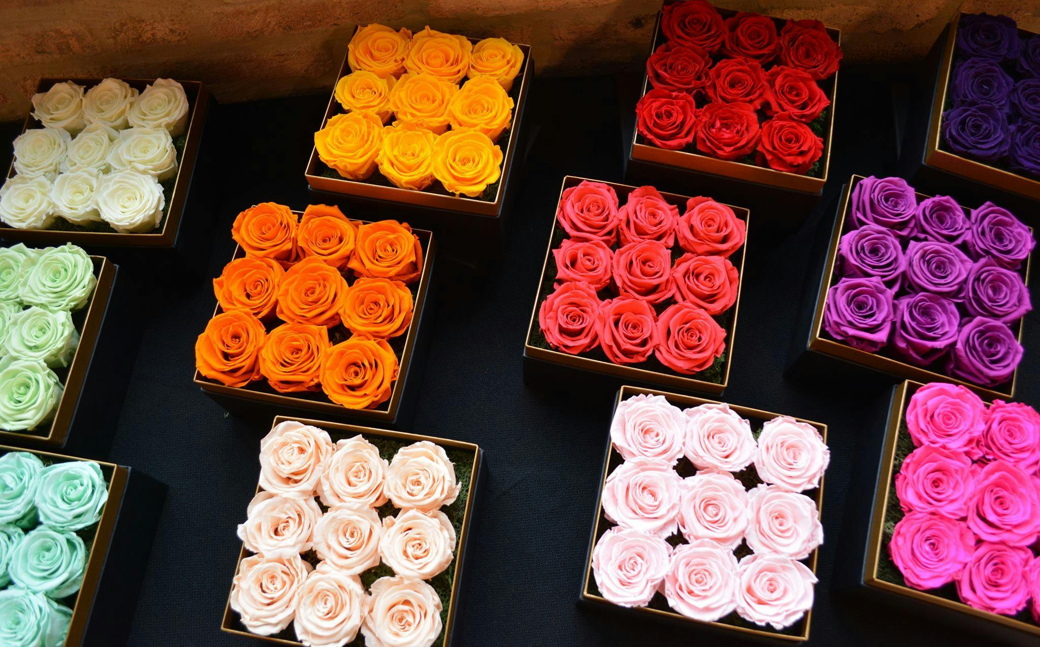 Cover photo of Luxe Bloom