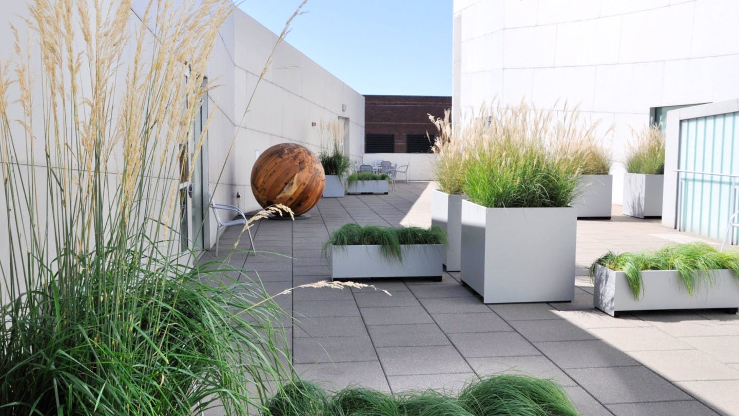 Featured photo from Bellevue Arts Museum