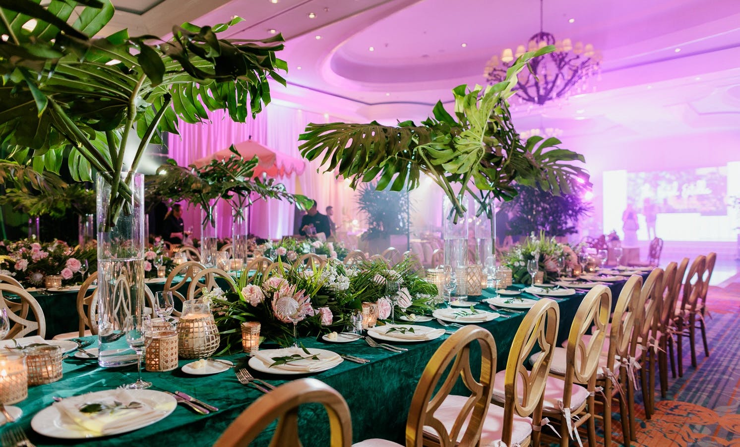 Featured photo from The Ritz-Carlton Coconut Grove, Miami