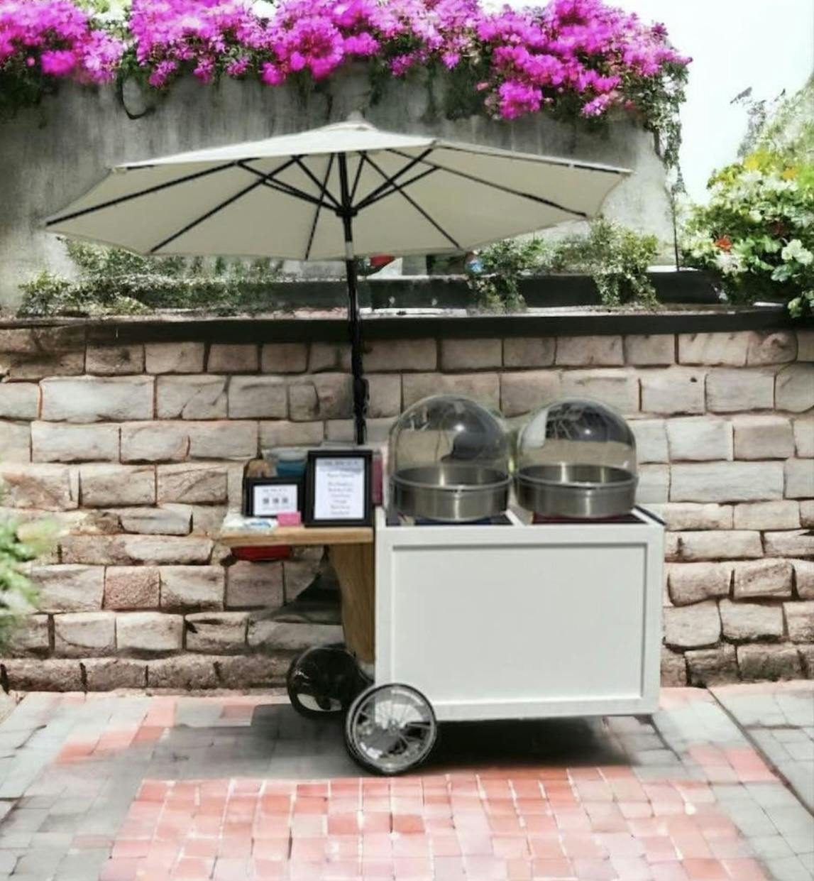 Cover photo of The Spin of it