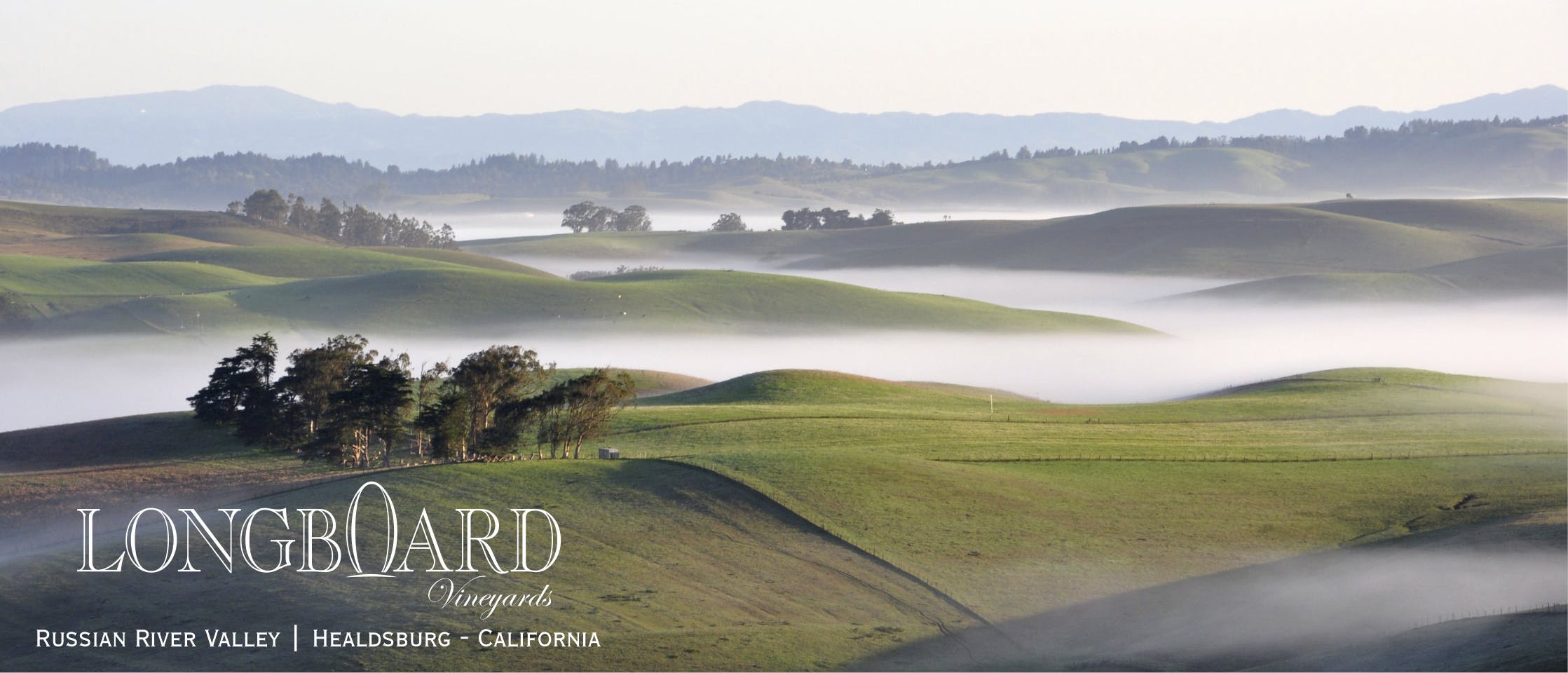 Featured photo from Longboard Vineyards