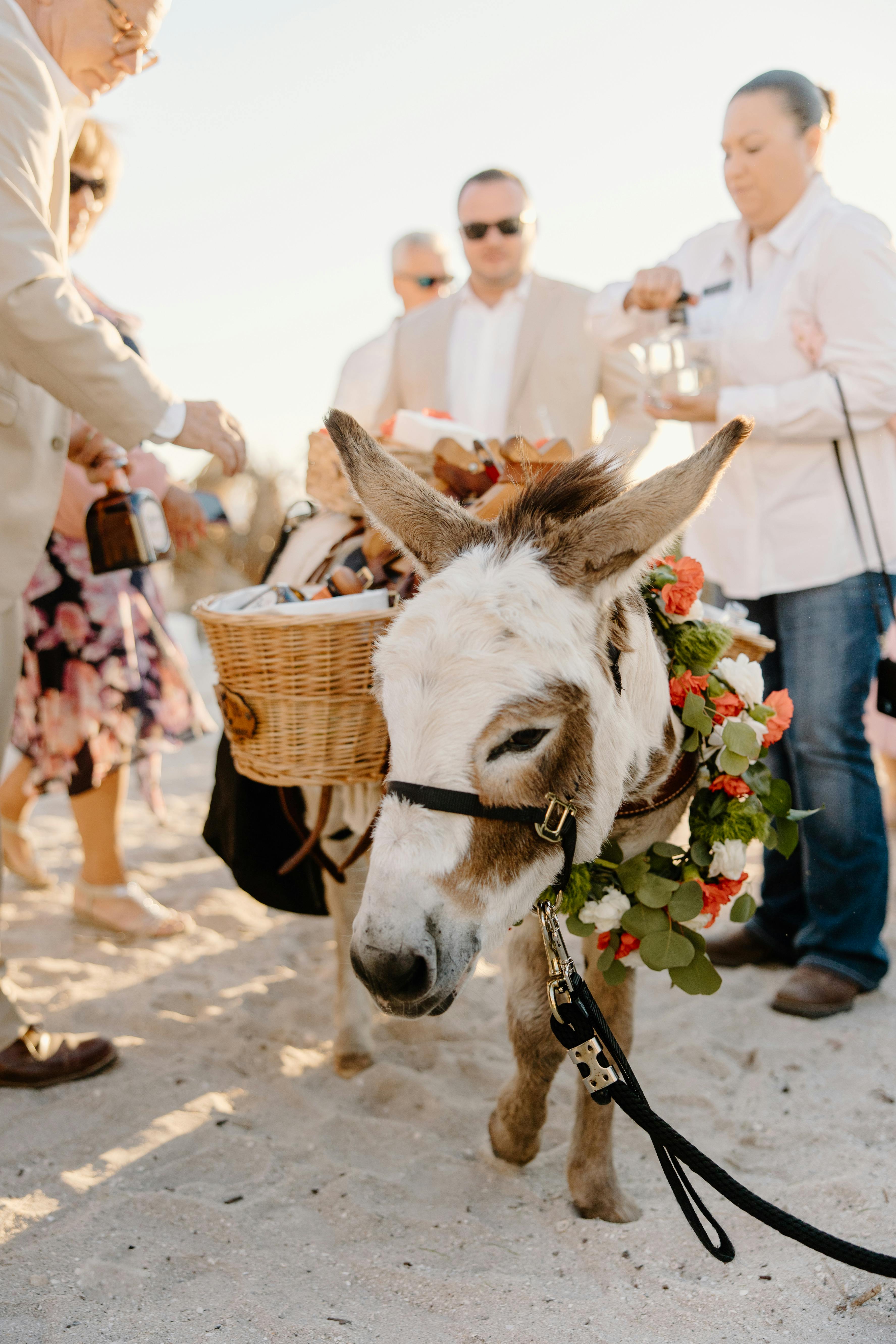 Featured photo from Florida Beer Burros
