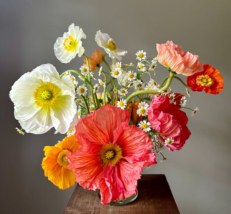 Cover photo of Wild Poppy Florals