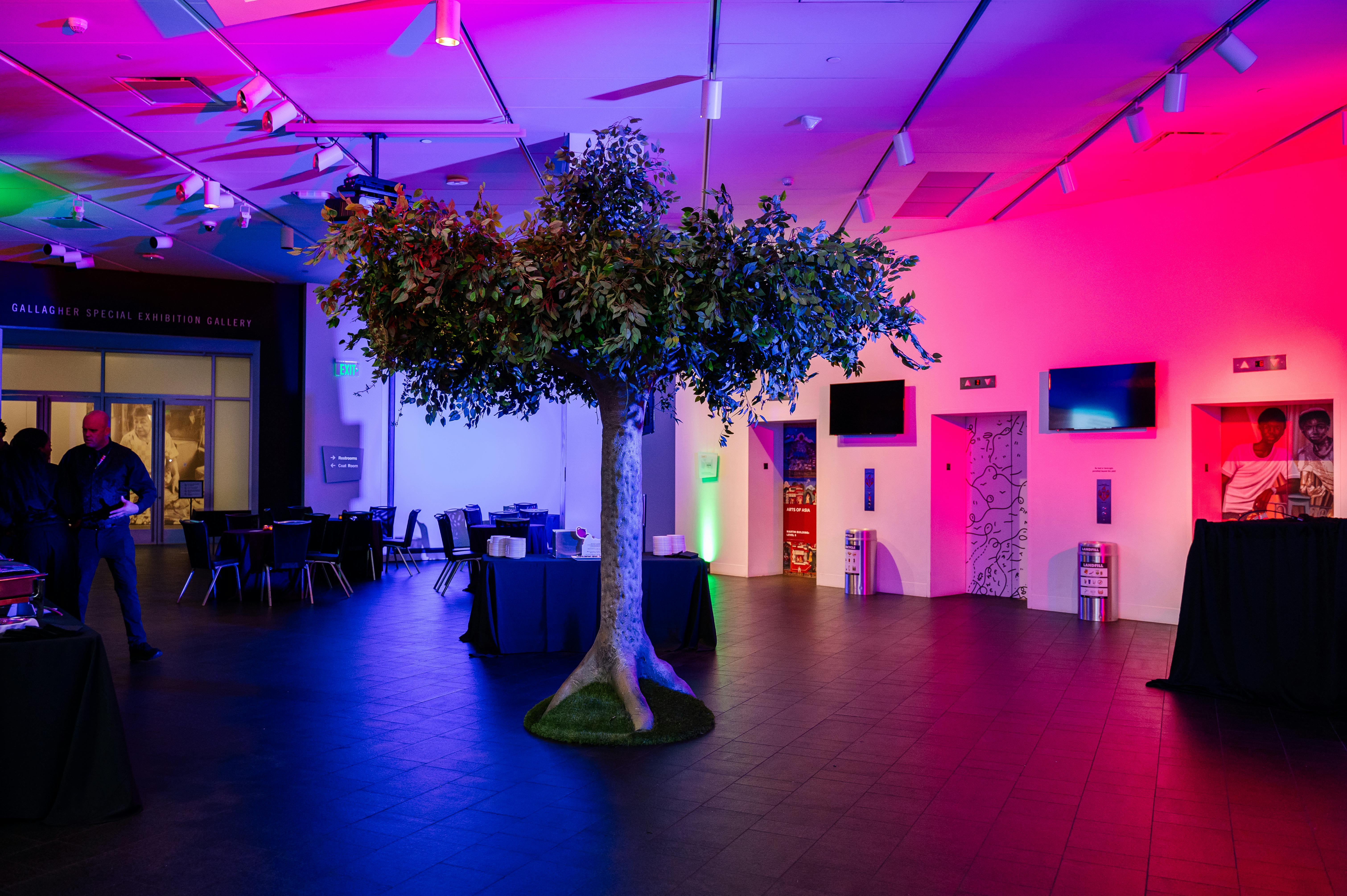 Featured photo from Denver Art Museum