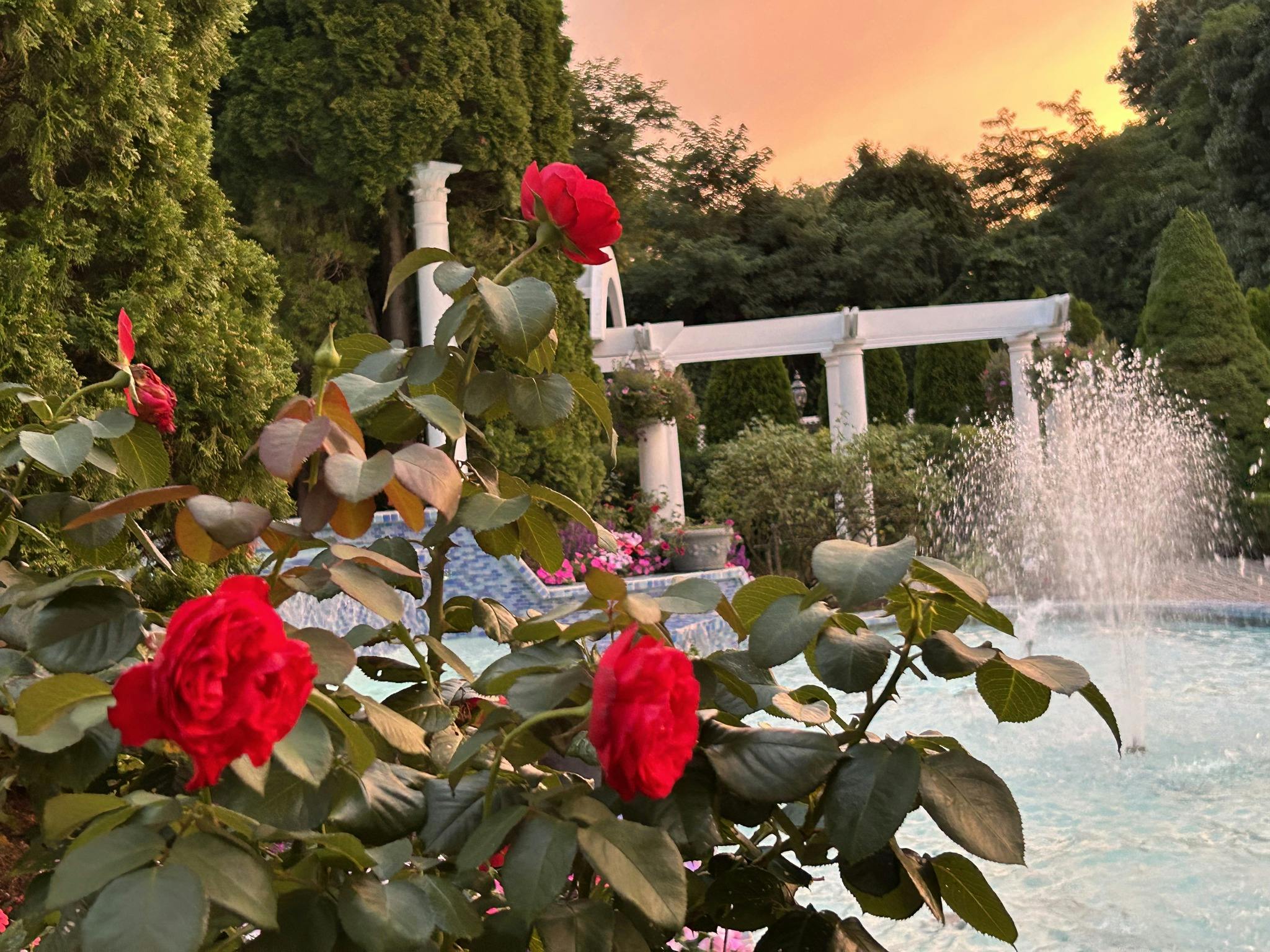 Featured photo from Sarah Lafata Events
