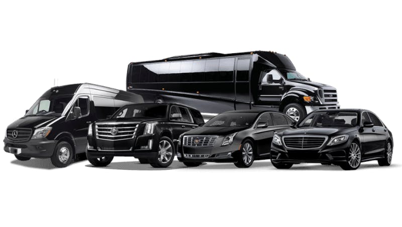 Featured photo from exoticlimobus.com