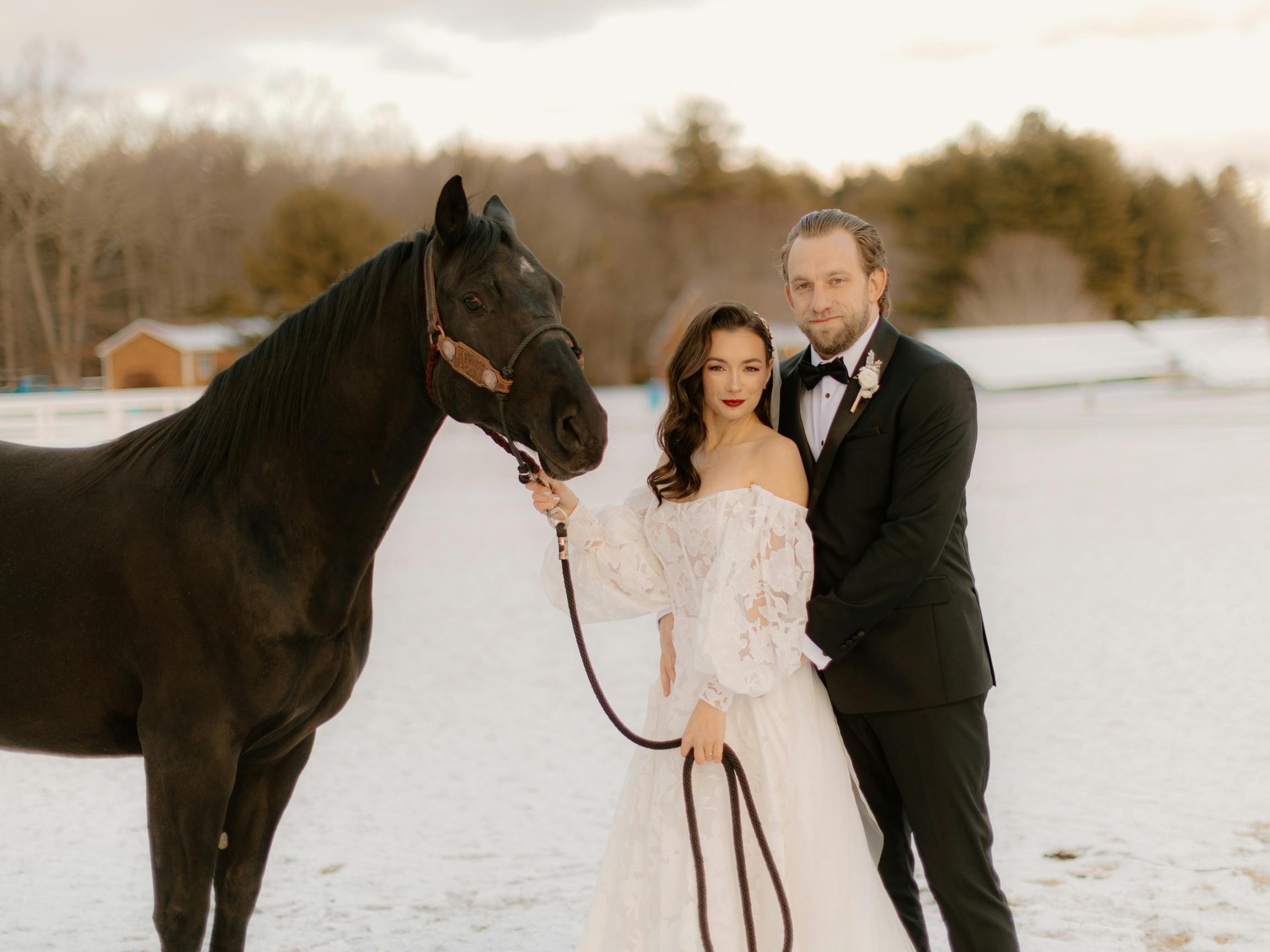 Featured photo from Falls Creek Farm