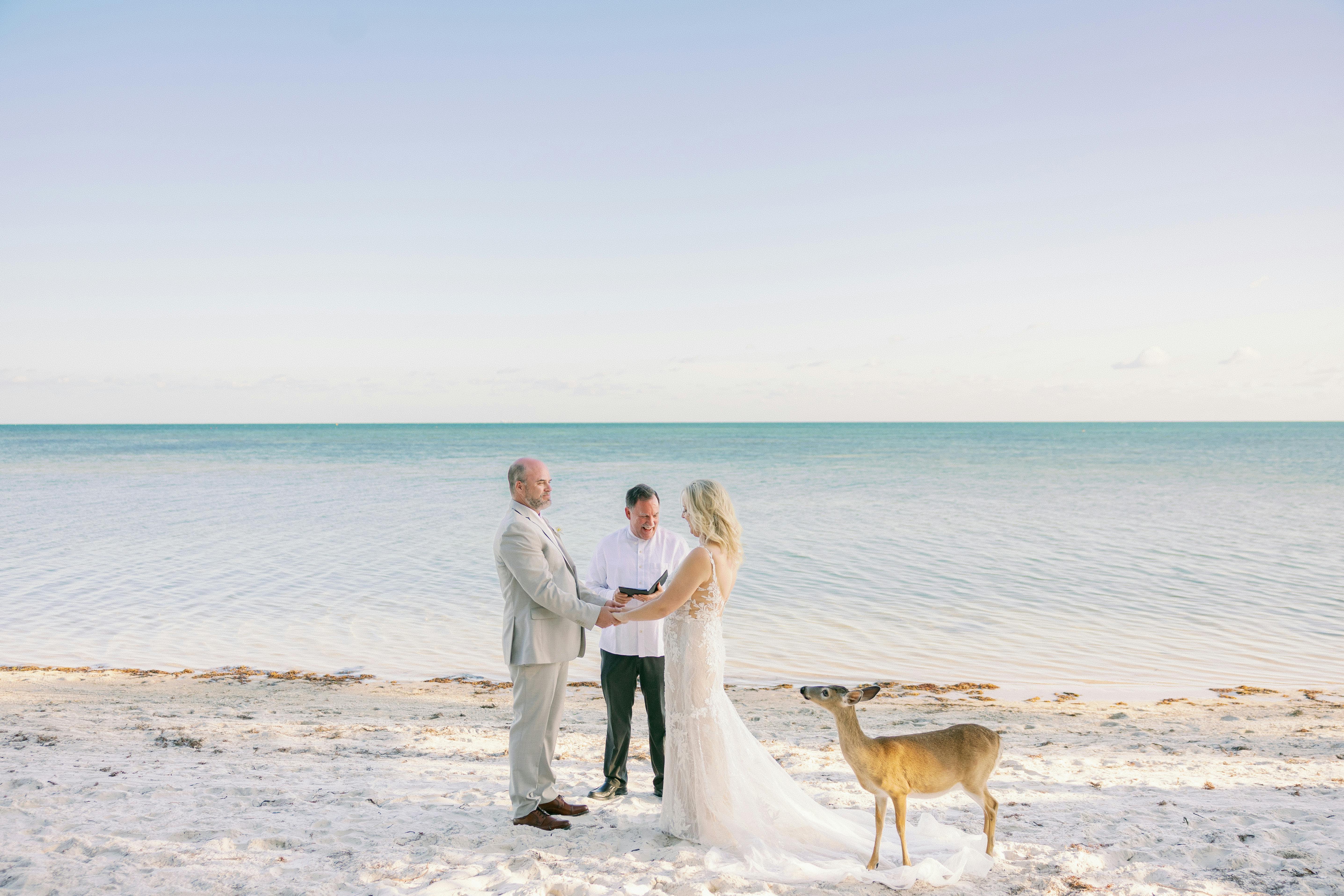 Featured photo from Little Palm Island Resort & Spa