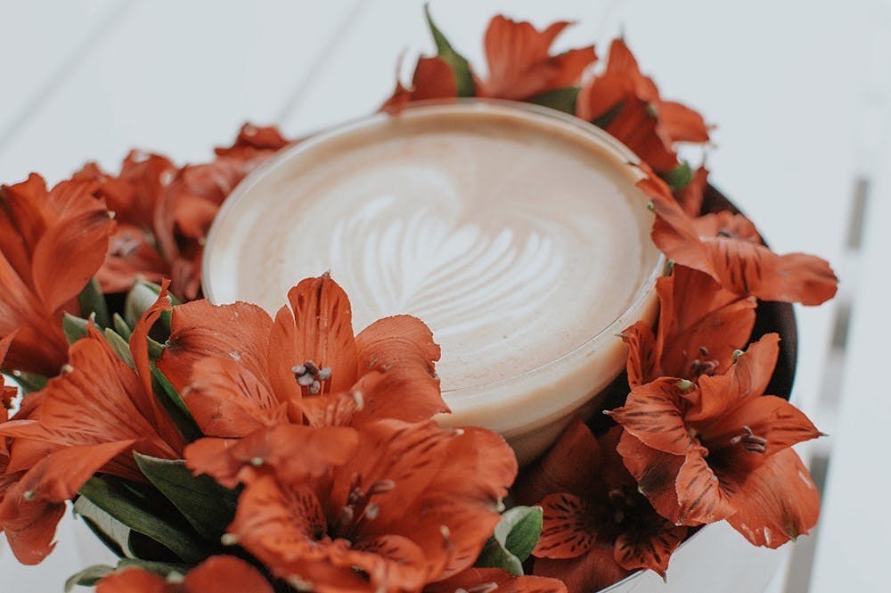 Cover photo of La Vela Coffee