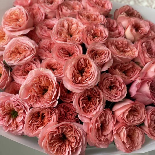 Featured photo from FlowerBar Florist