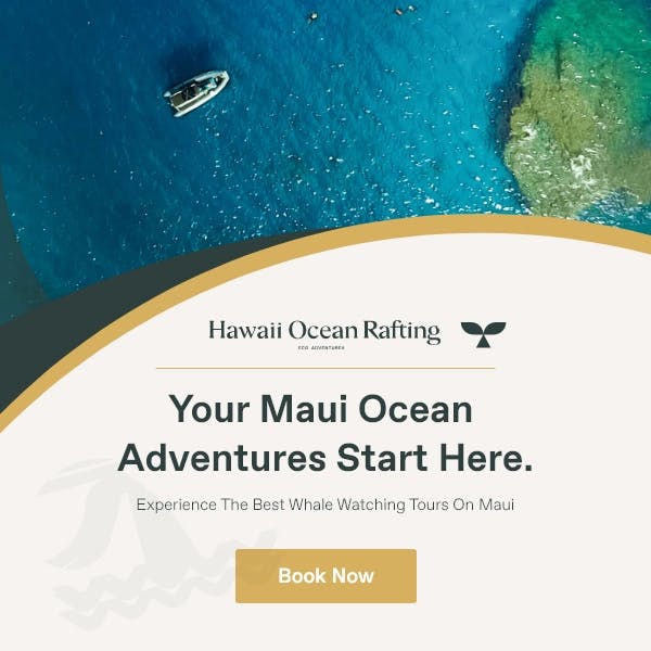 Featured photo from Hawaii Ocean Rafting