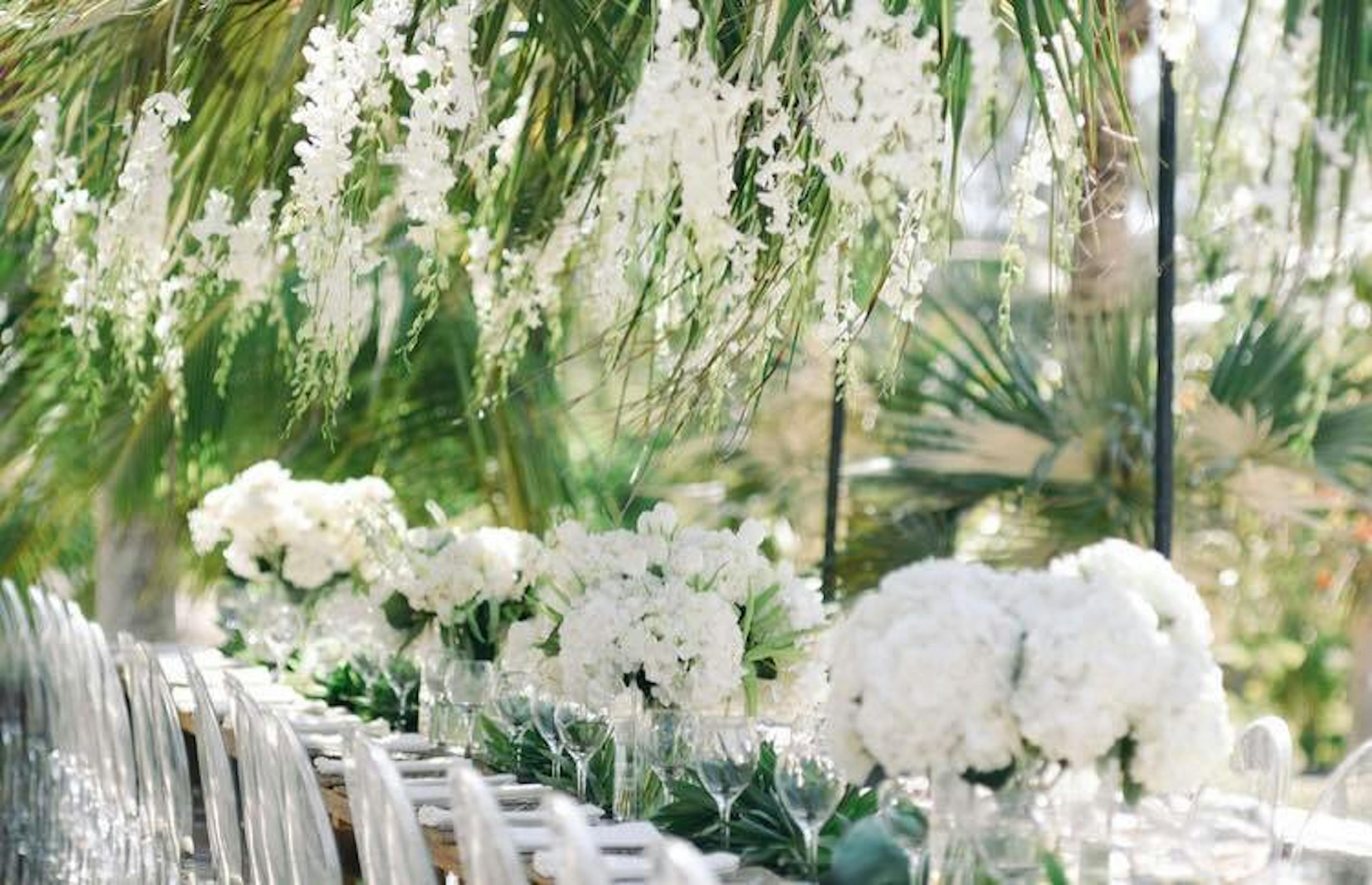 Cover photo of Boy Meets Girl Weddings