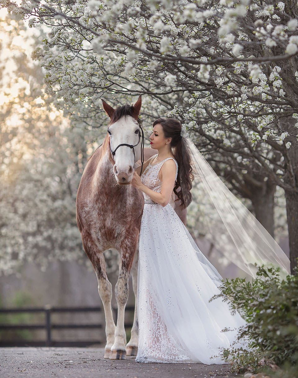 Featured photo from Weddings and Events by Stafford Stables