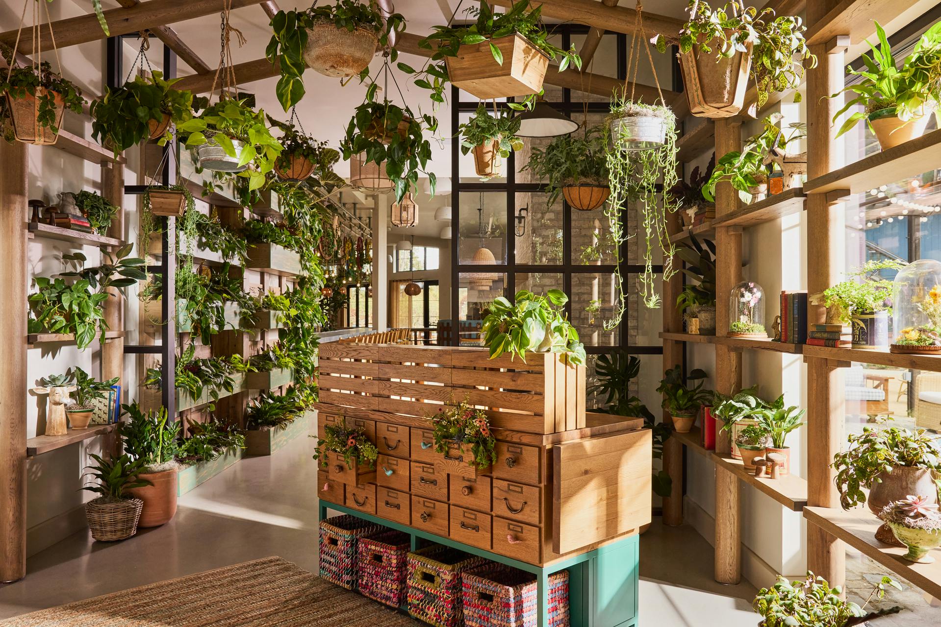 Featured photo from Treehouse Hotel Silicon Valley