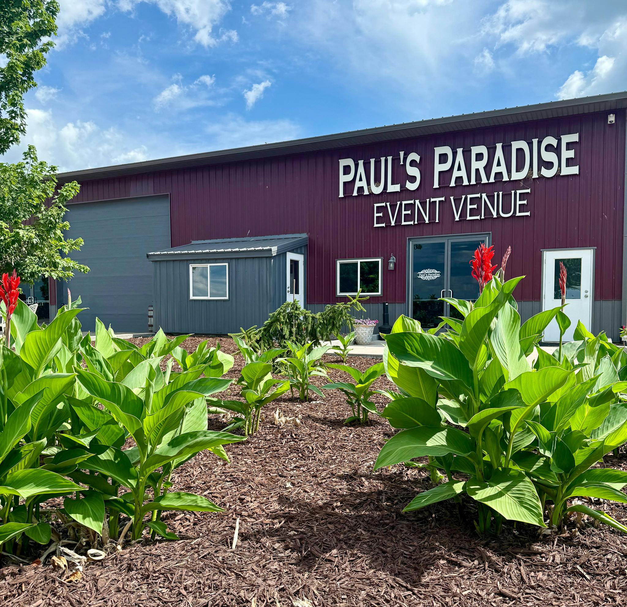 Featured photo from Paul's Paradise