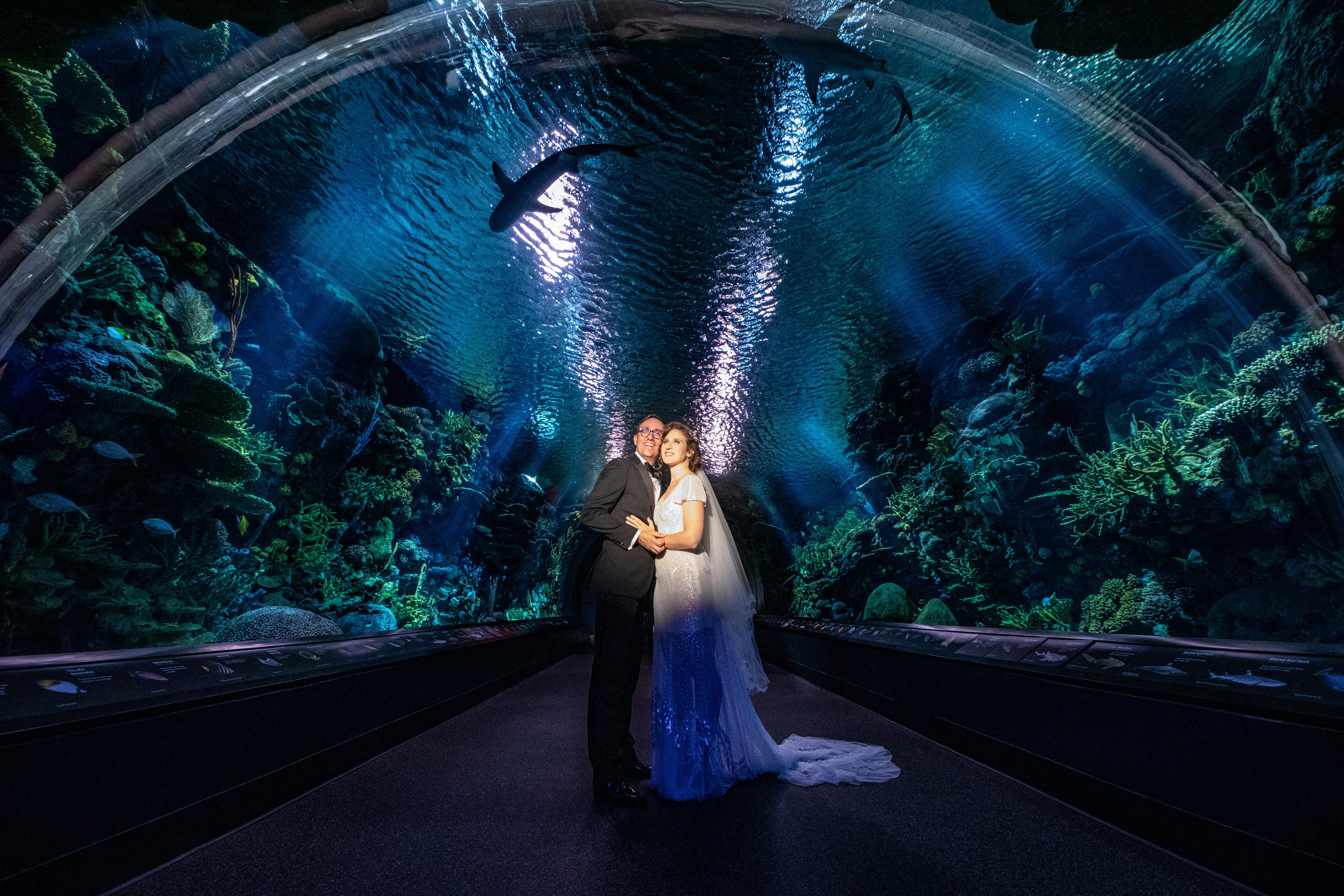 Featured photo from New York Aquarium