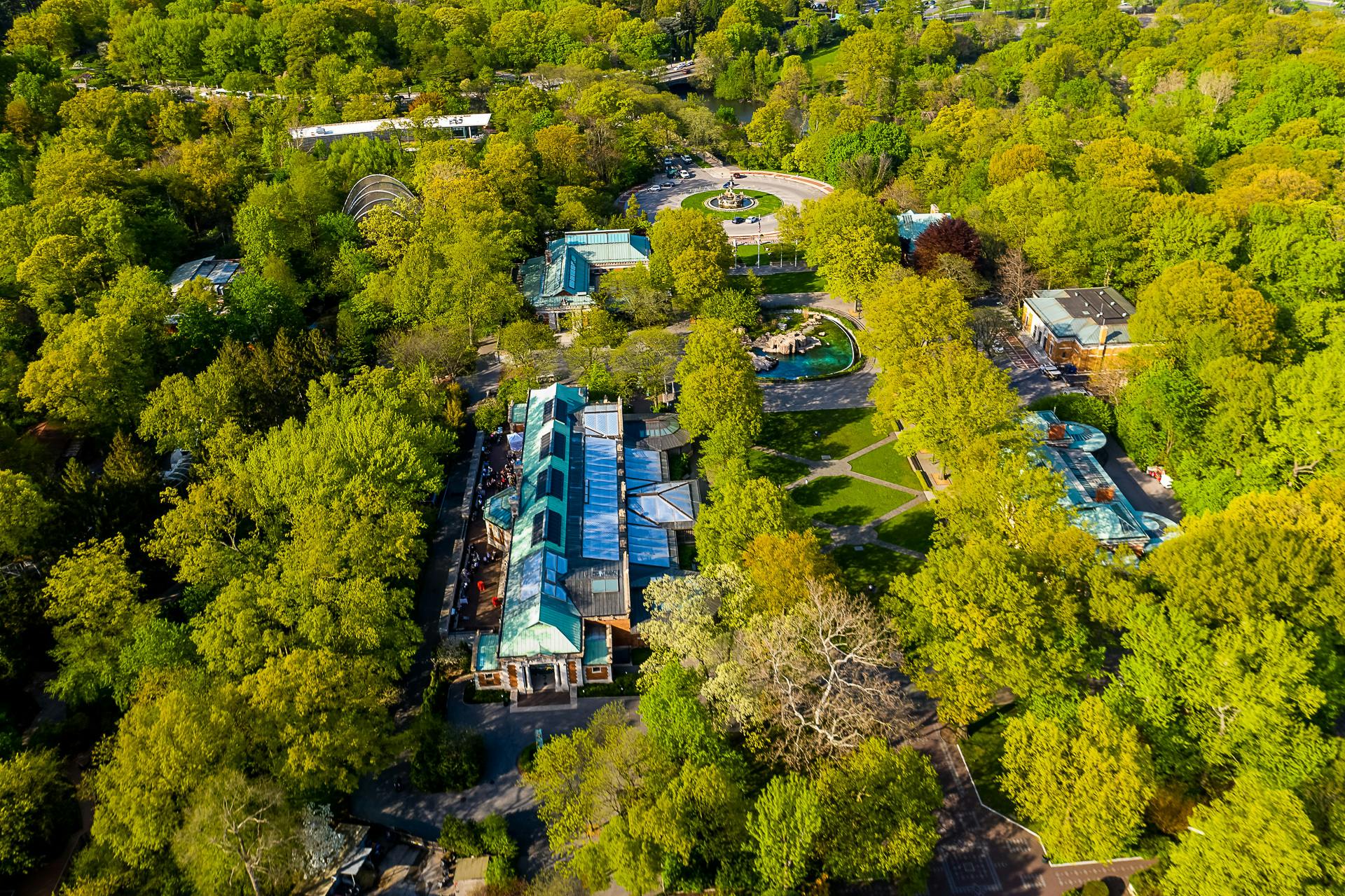 Featured photo from Bronx Zoo