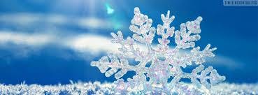 Cover photo of Enchanted Festivities