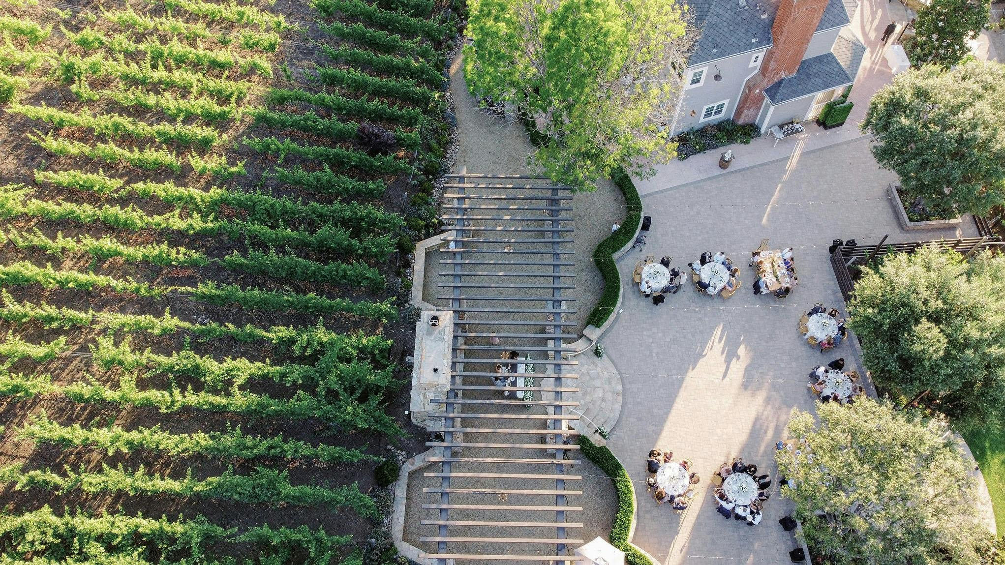 Featured photo from Casi Cielo Vineyards