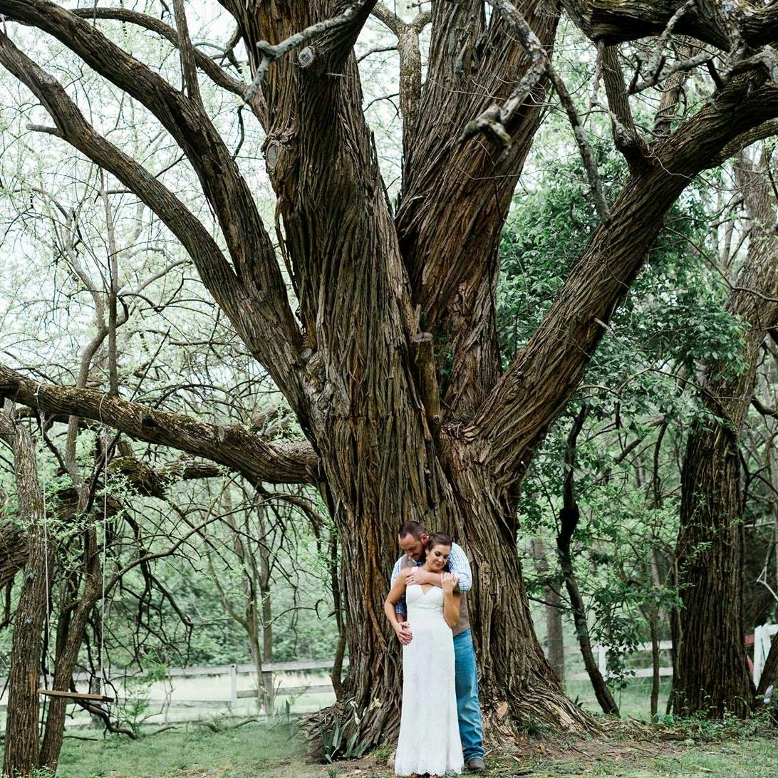 Featured photo from The Estate at White Hall Vineyard