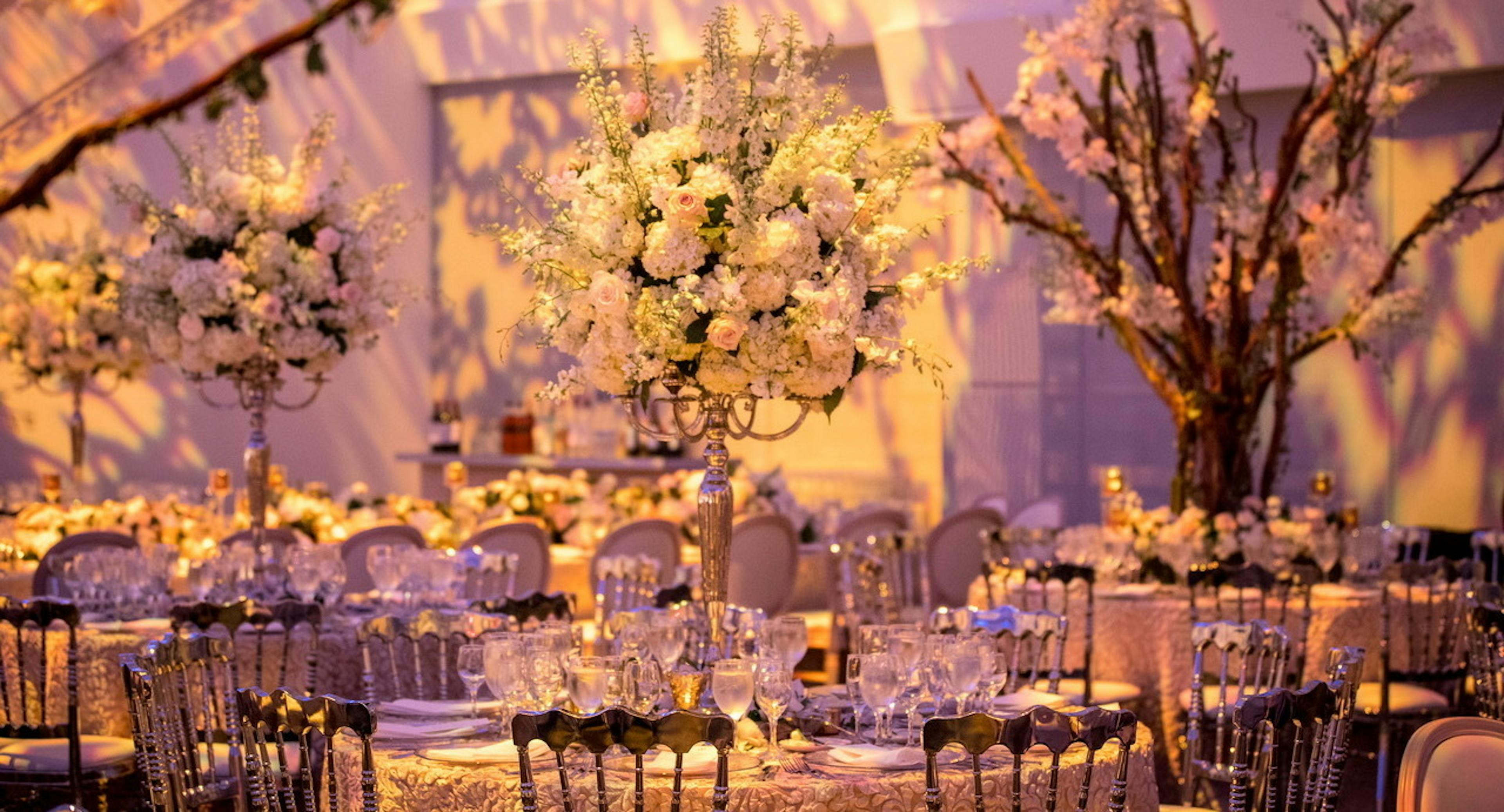 Cover photo of Blumberg Events