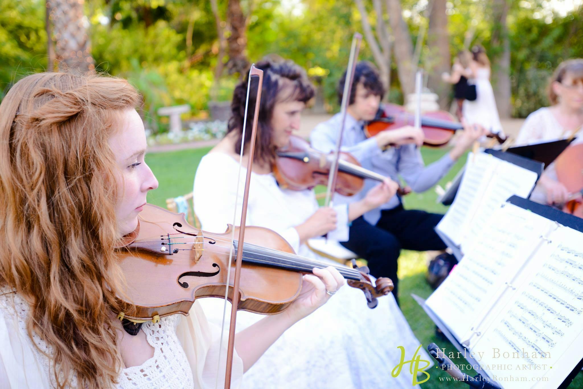 Featured photo from Sweetwater Strings