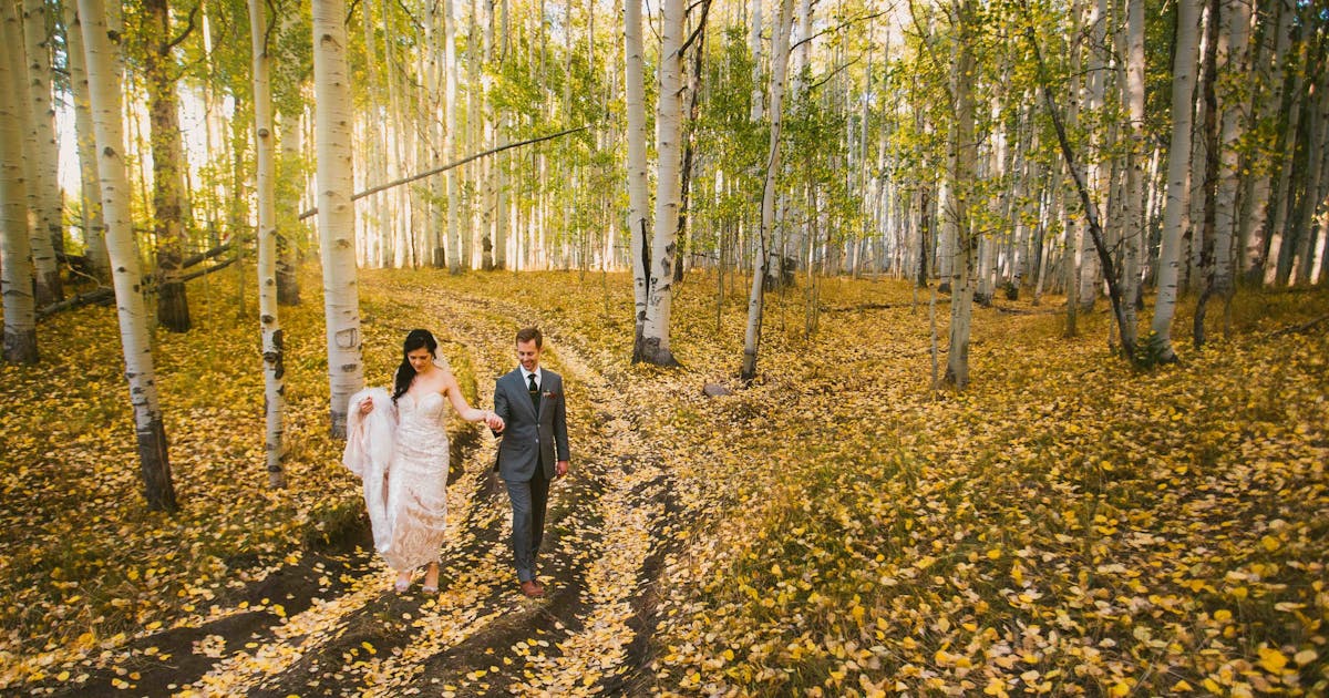 MSW Photos Denver Photographer 160 Photos PartySlate msw-photos-denver-photographer-160-photos-partyslate