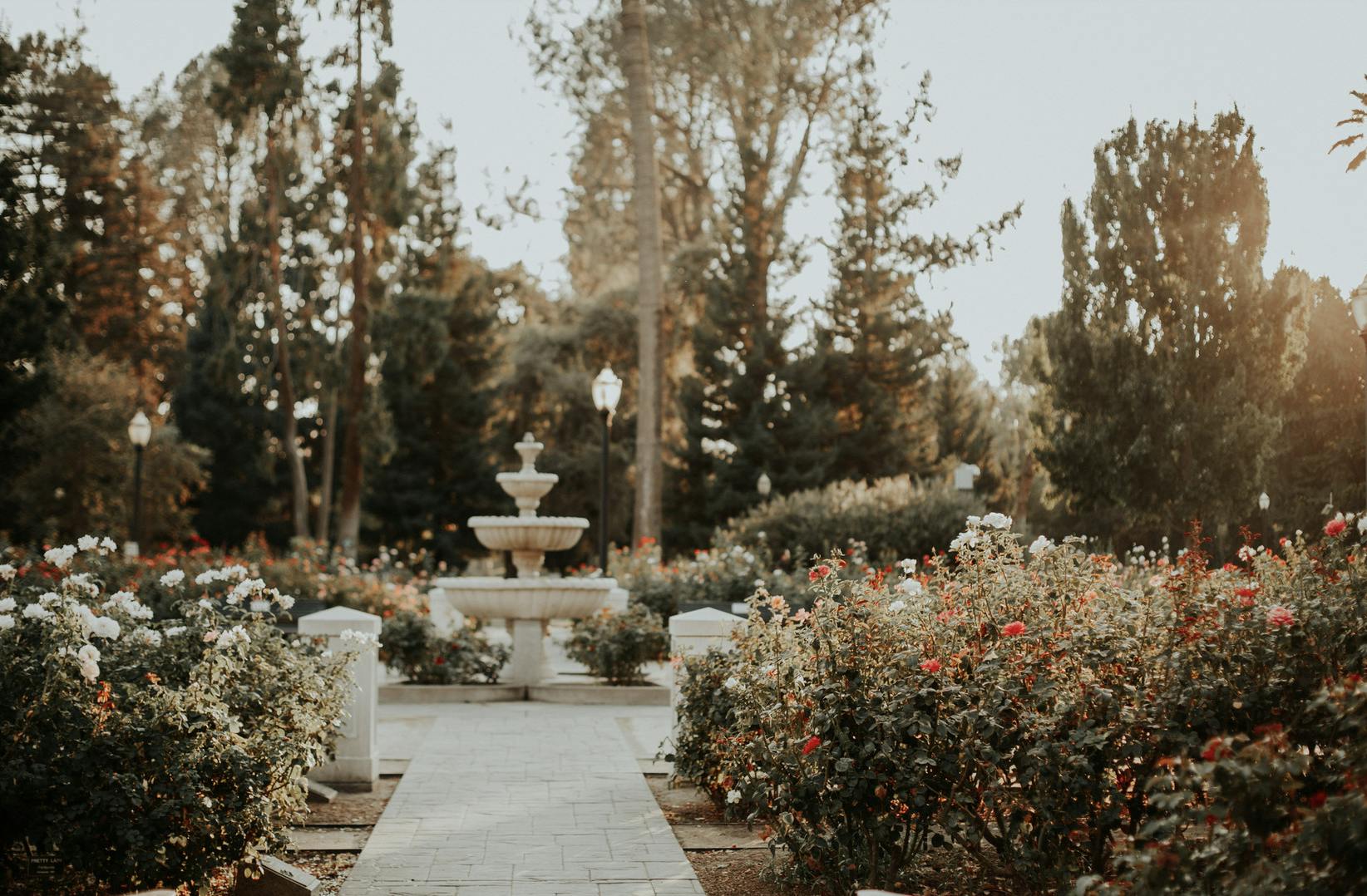 Featured photo from Poema Collective