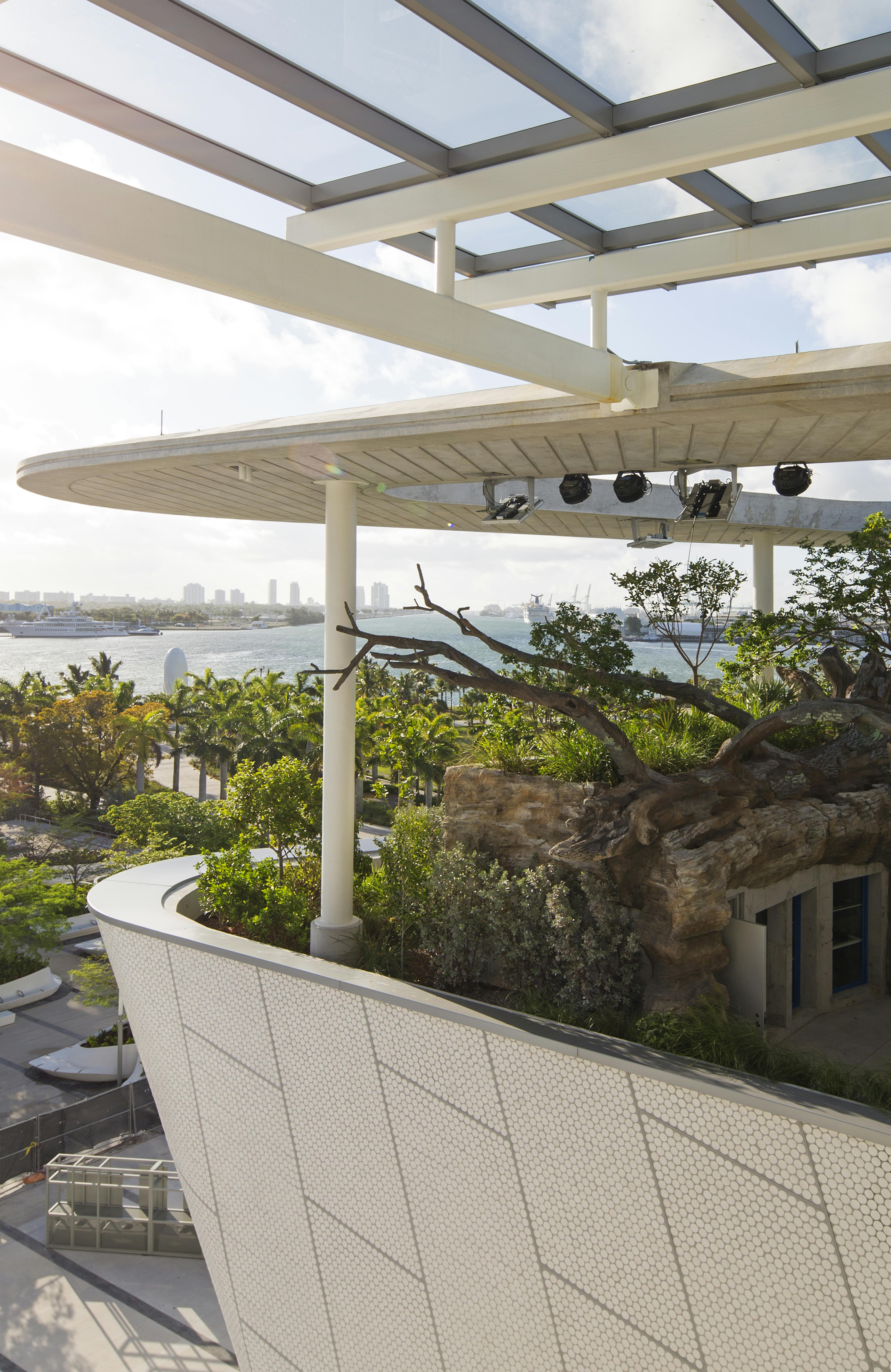 Featured photo from The Phillip and Patricia Frost Museum of Science