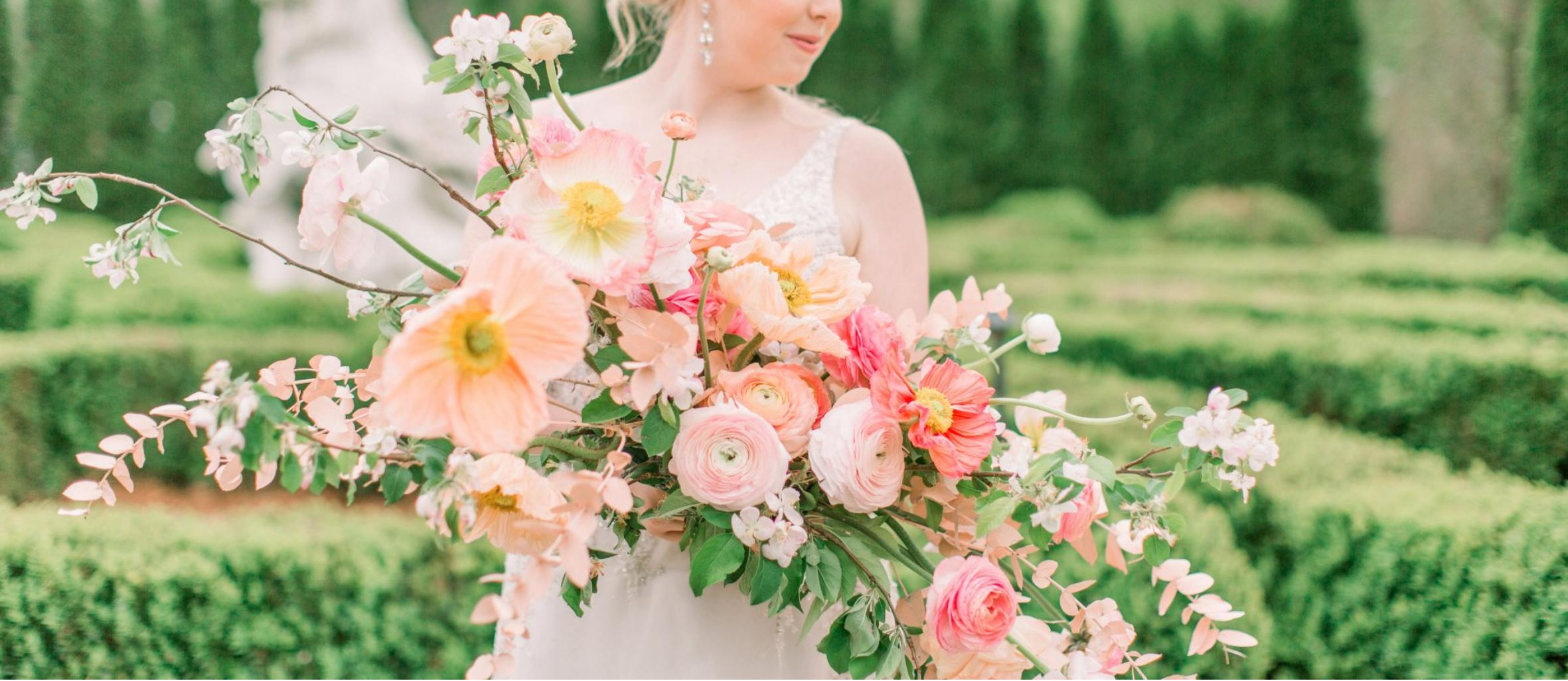 Featured photo from Stella Paschall Photo