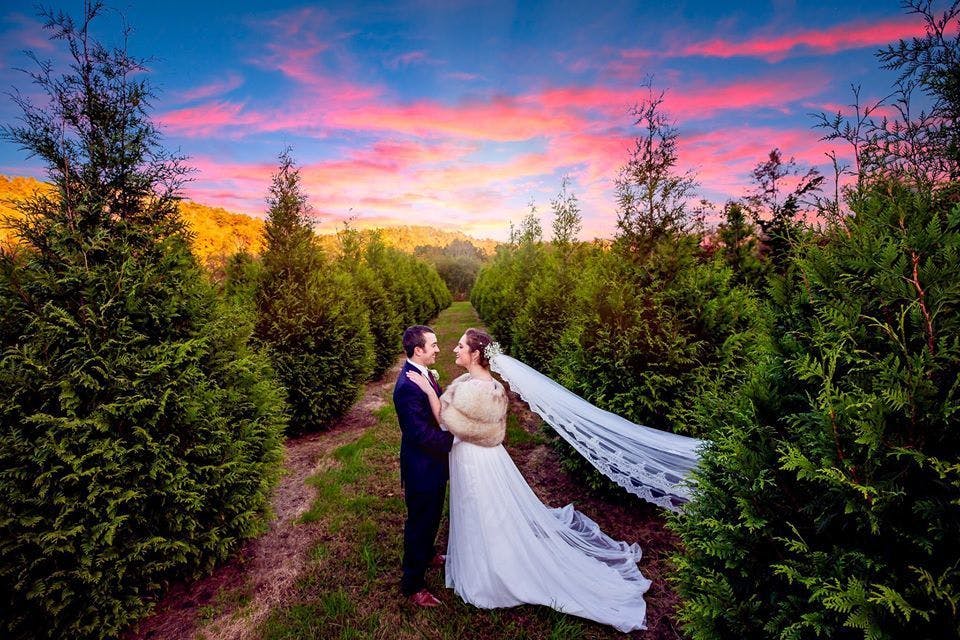 Featured photo from DV Photo