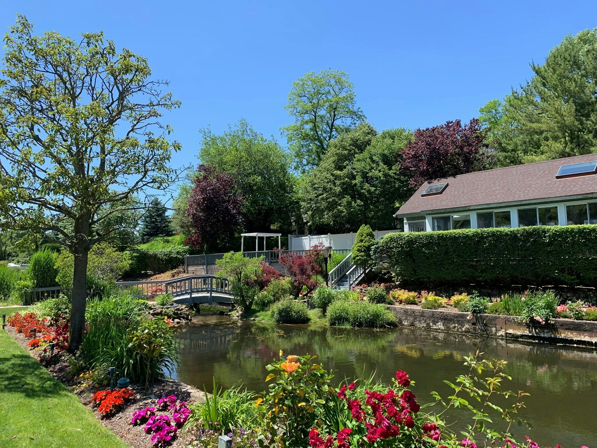 Featured photo from Swan Club