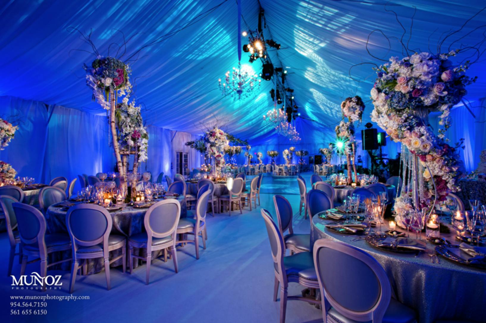 Featured photo from Pieces of Dreams Design