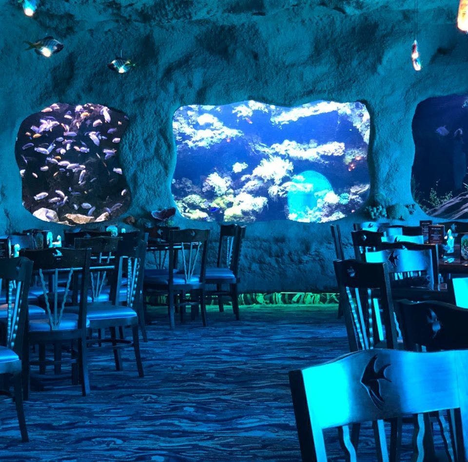 Aquarium Restaurant Kemah Kemah Venue PartySlate
